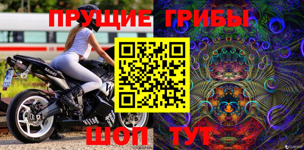 Михайловка  Галлюциногенные грибы Psilocybe  Галлюциногенные грибы прущие грибы  Вход с VPN 